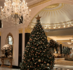 Experience the Magic of Christmas in London at The Dorchester